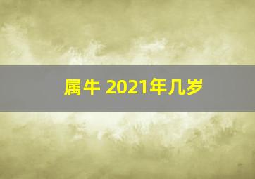 属牛 2021年几岁